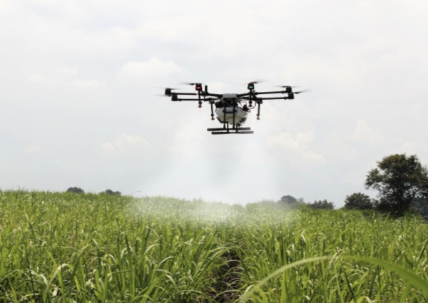 Using drones in the fight against malaria in Rwanda